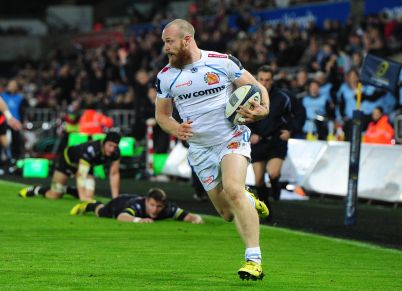 Ospreys Short std
