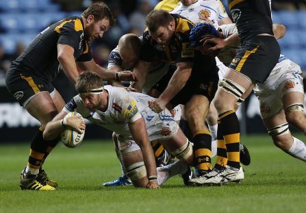 Parling Wasps std