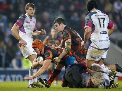 Ospreys Atkins std