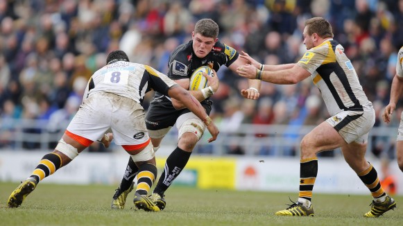 Wasps H Ewers D std