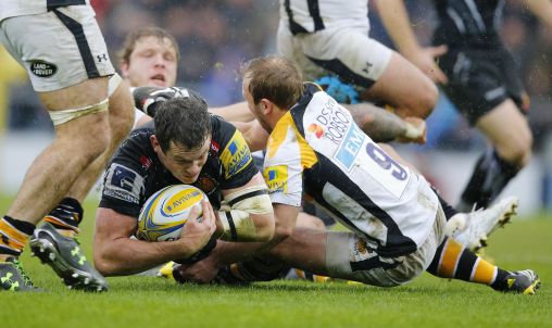 Wasps H Whitten std