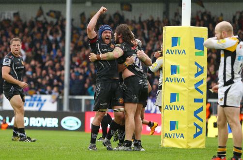 Salvi Wasps Cele std