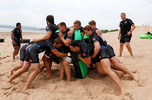 Beach Exmouth std
