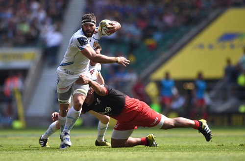 Saracens Armand std