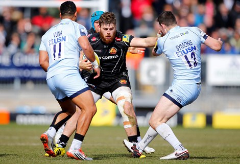 Warriors Cowan Dickie std