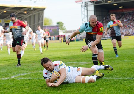Harlequins Dollman std