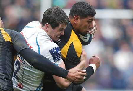 Sharks Whitten std