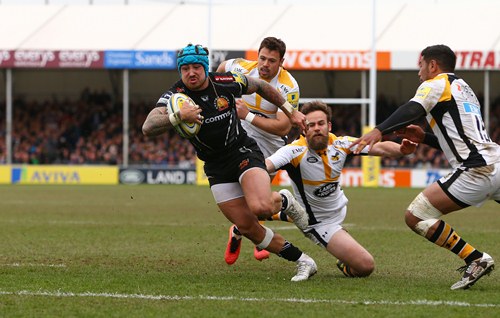 J Nowell Wasps std