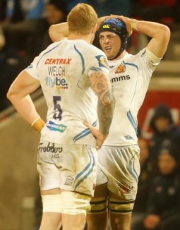Sharks Mumm std