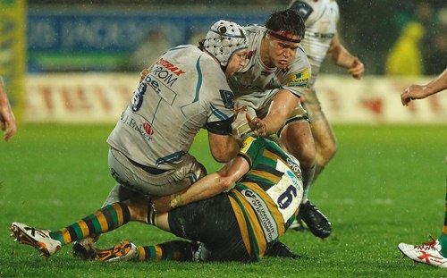Atkins Saints std