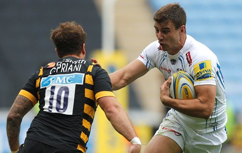 Wasps Devoto std