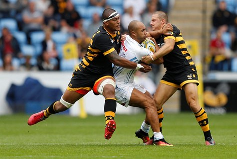 Wasps Woodburn std