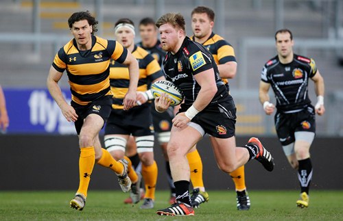 Wasps Owlett std