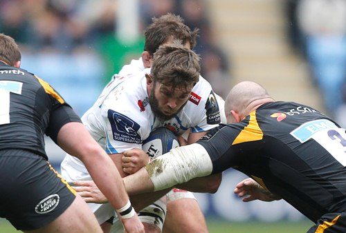 Wasps Parling std