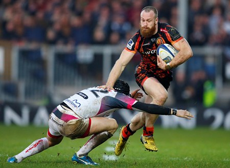 Short Ospreys H std