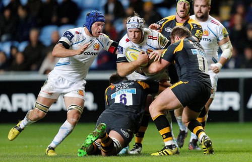 Wasps A Waldrom std